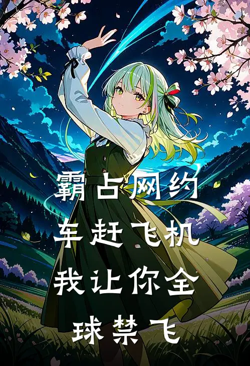 霸占网约车赶飞机，我让你全球禁飞