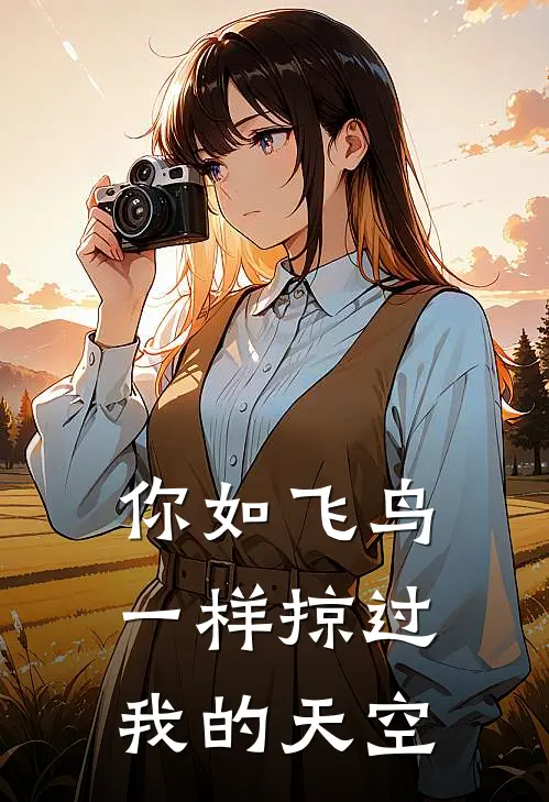 你如飞鸟一样掠过我的天空